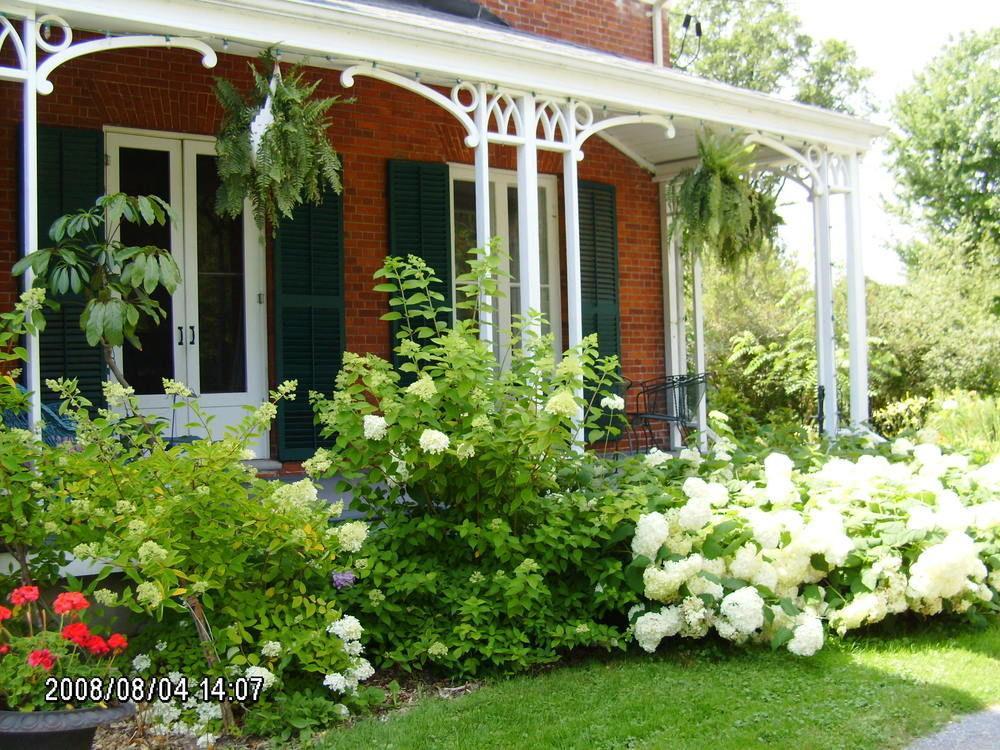 MacKechnie House Bed and Breakfast Cobourg Zewnętrze zdjęcie